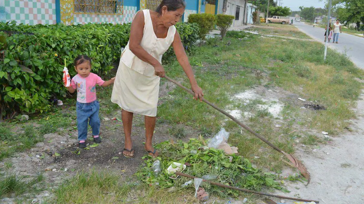 dengue zika limpieza
