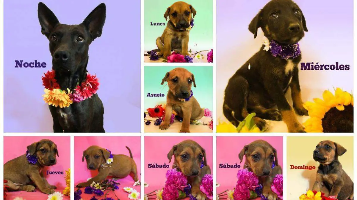 f527c79d-7ef0-4223-a870-b5cd15970f49