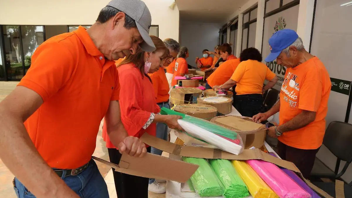 adultos mayores dif (1)