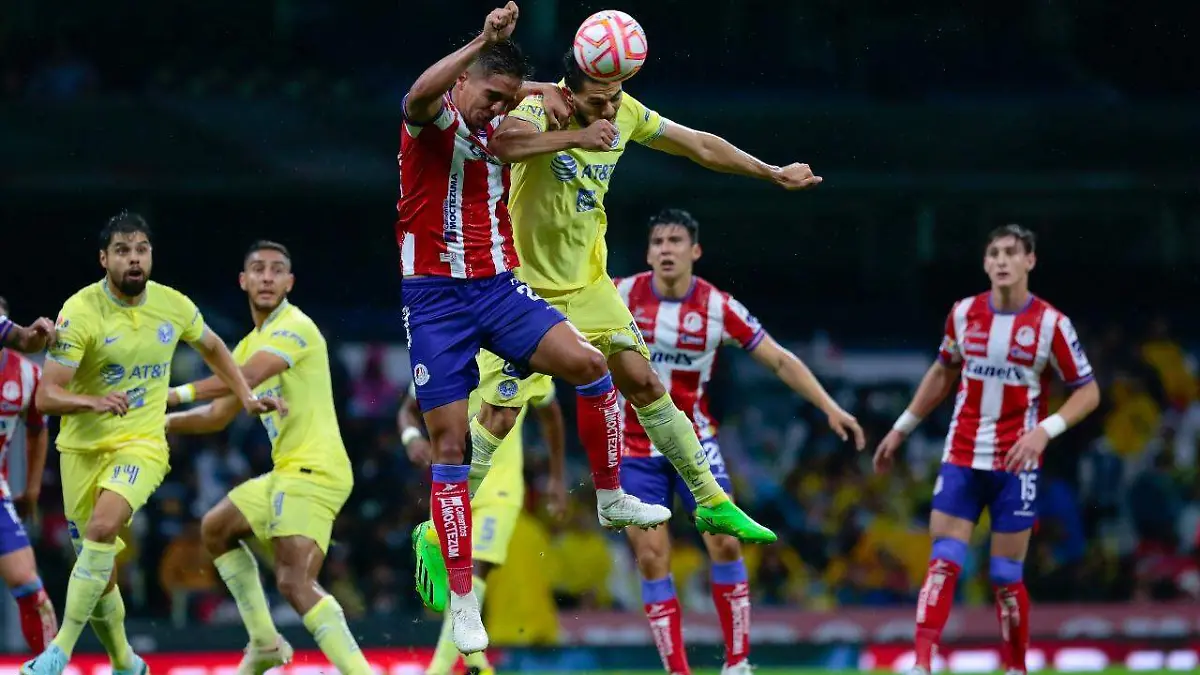 76b24271-006b-4357-b831-f73df94f56a8