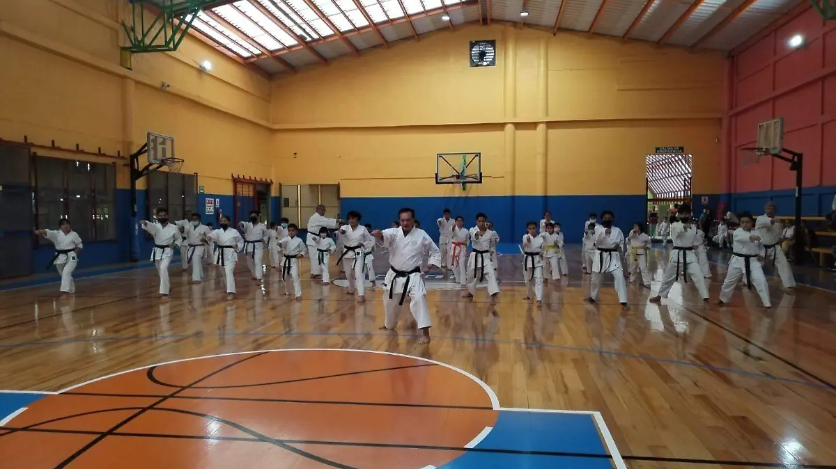 Karate Do Shotokan Ryu (3)