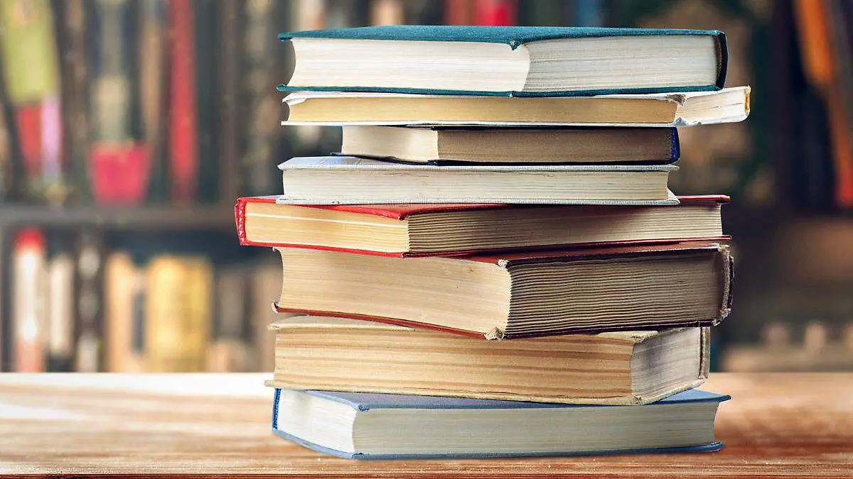 LIBROS-FOTO 1
