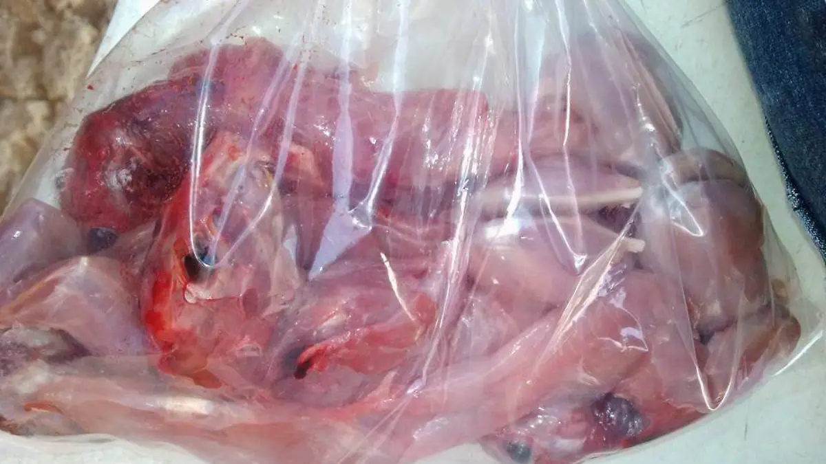 Un platillo diferente