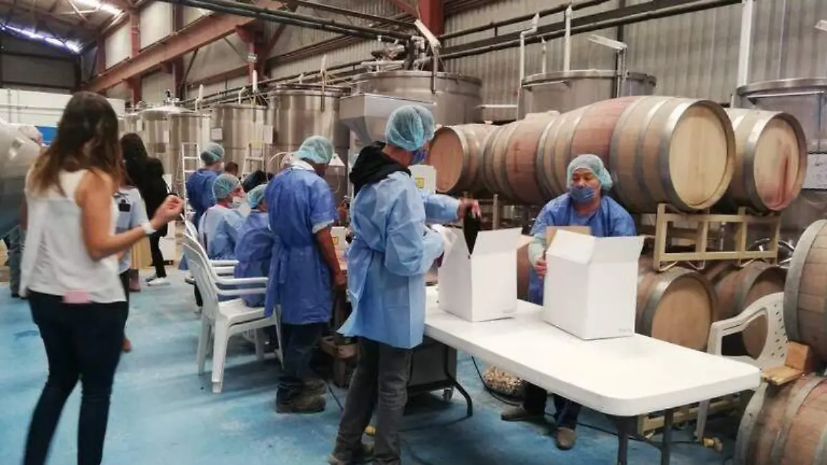 vinos vinicola pozo de luna 3