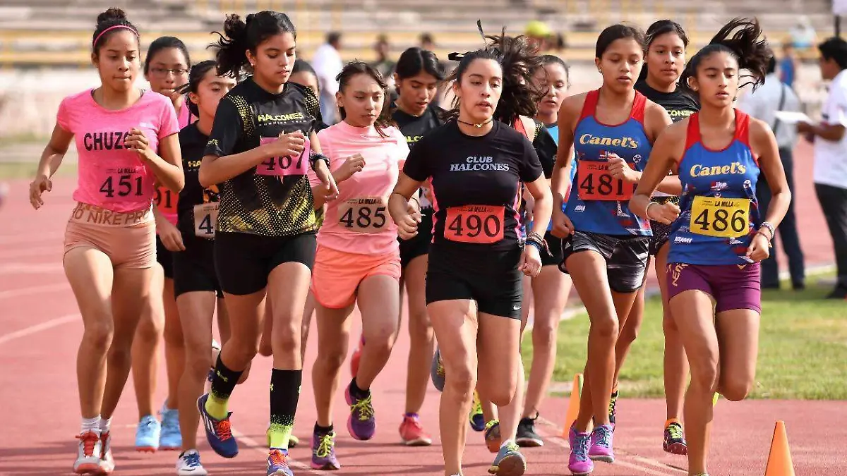 c463bd10-f784-486d-b926-de9c288ead80