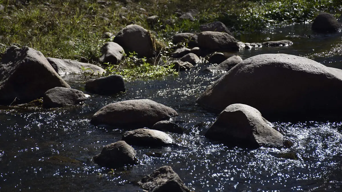 agua sucia agua contaminada dengue