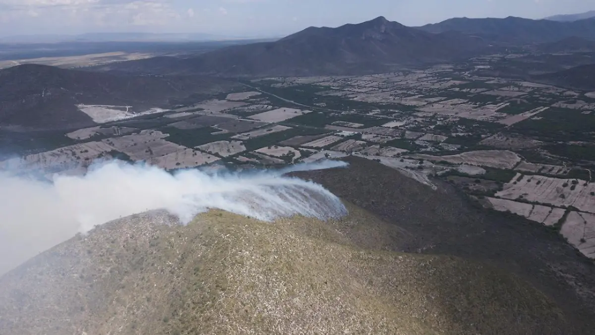 incendios forestales incendio forestal
