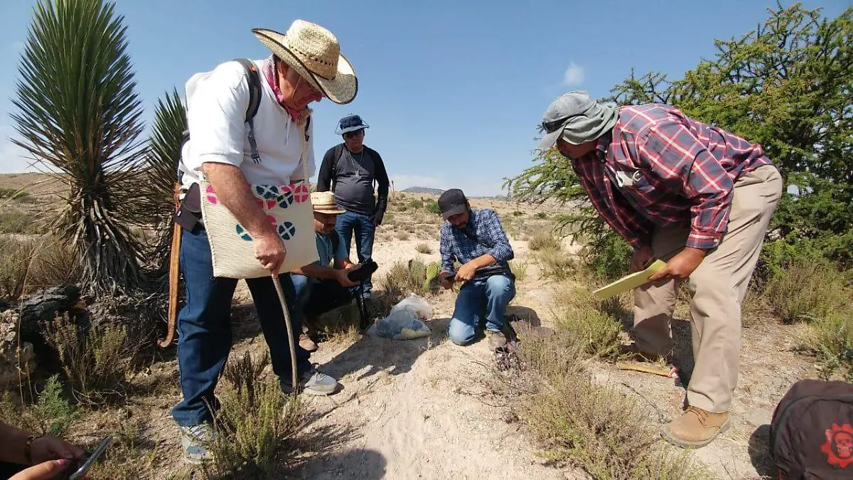 SEGAM Taller 280419 (2)