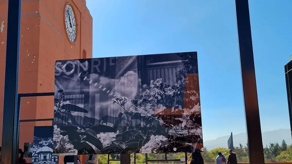 129069fb-c955-43f0-b45f-d427181262c8