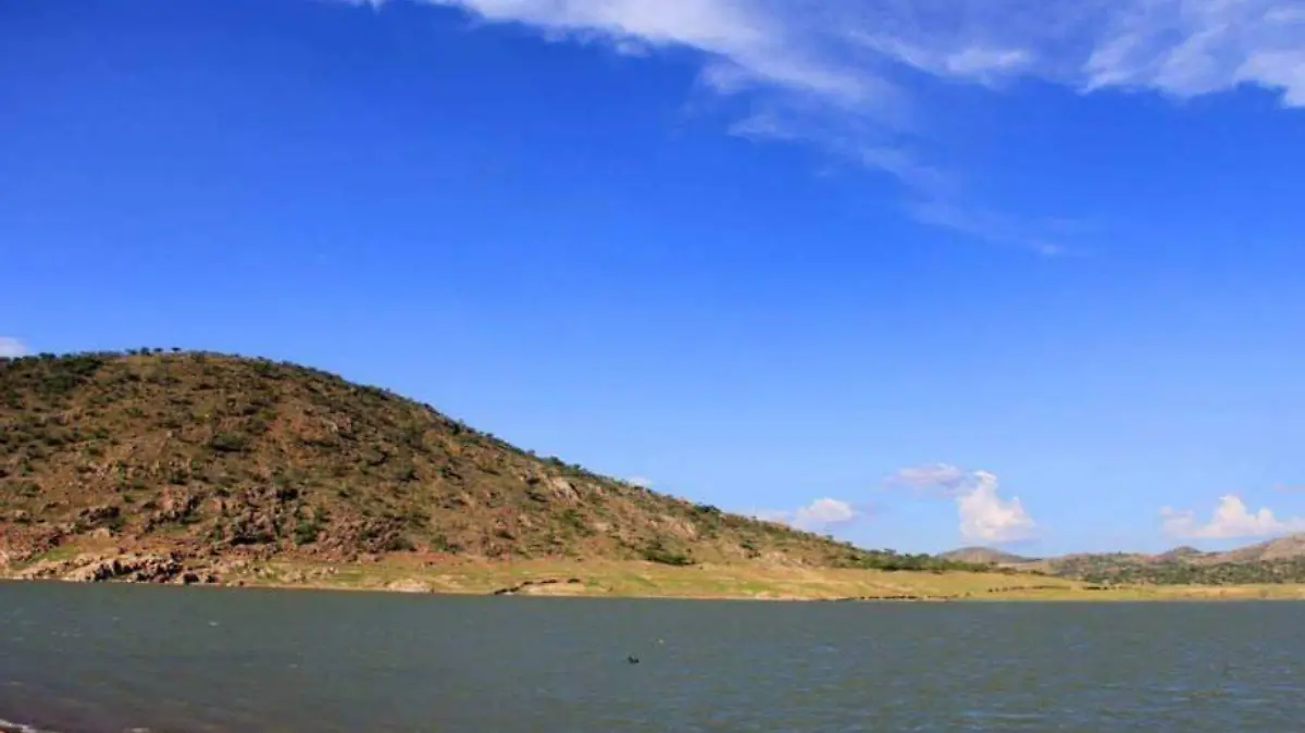 Tierra Nueva (3)