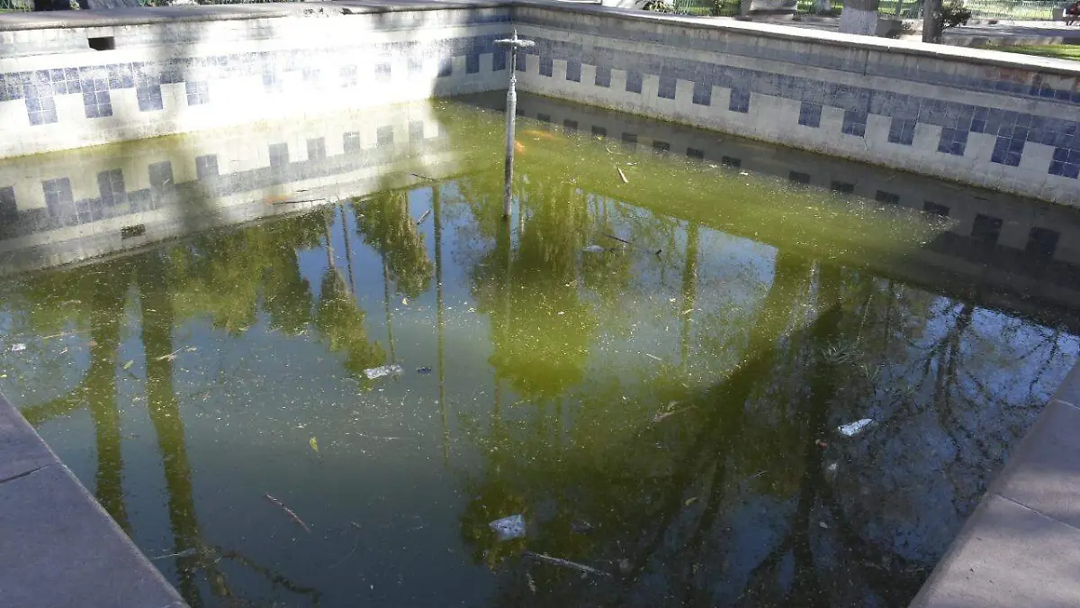 estanque de peces en malas condiciones