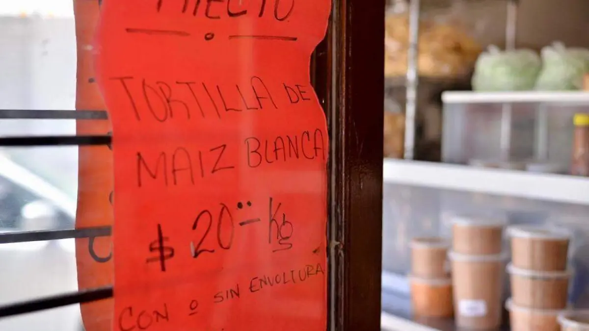 alza de tortillas tortilla tortillerias 5