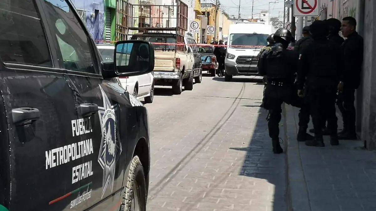 Fuerza Metropolitana Estatal
