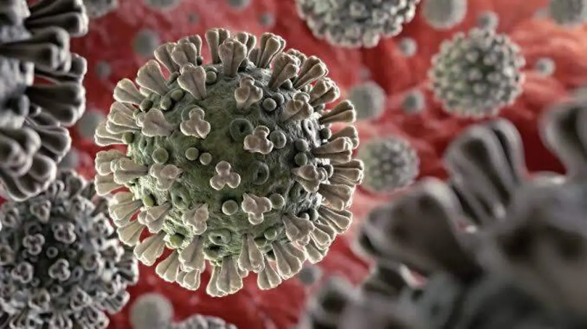 86302135-F110-4843-A465-C0BF1A9CB316