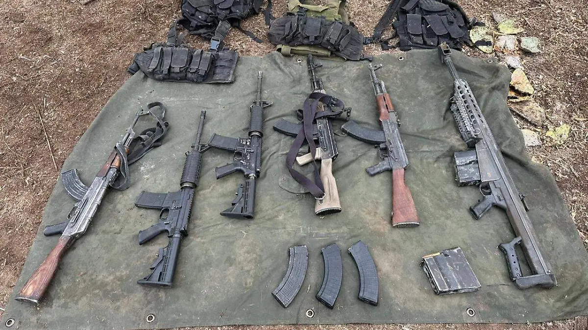 Célula criminal (2)