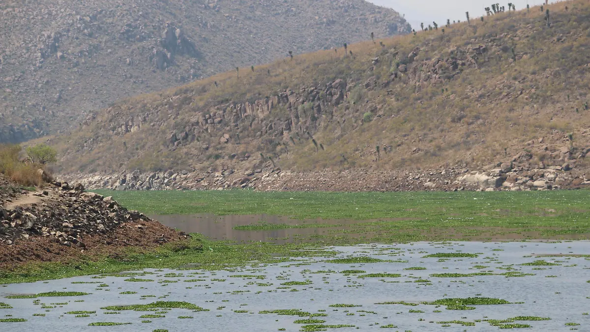 presa de san jose (6)