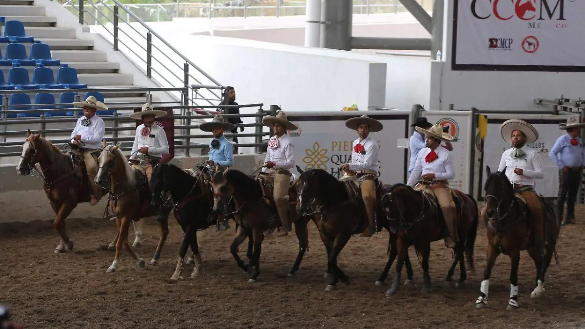 7e4b351f-972b-478b-a1ff-142a6253b0ca