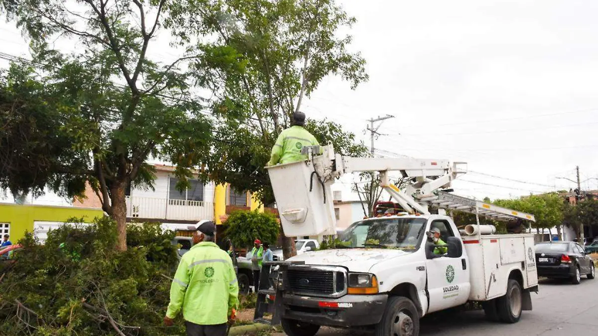 Martes Ciudadano (7)