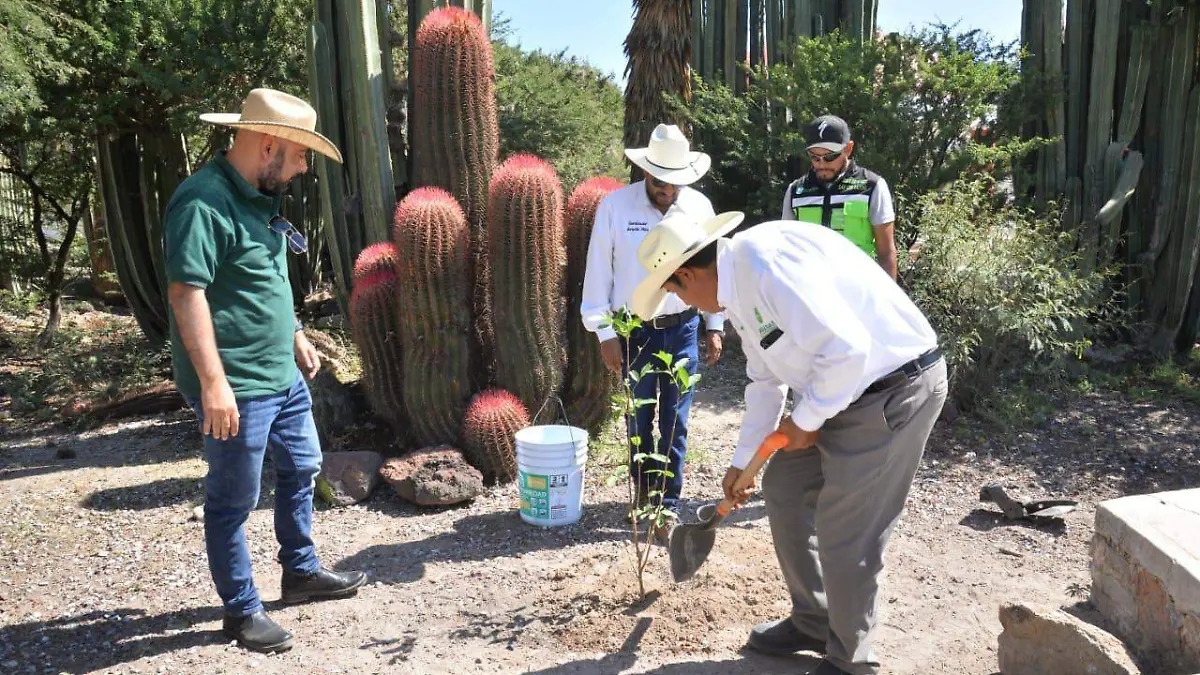 Martes verde en La Tinaja (2)
