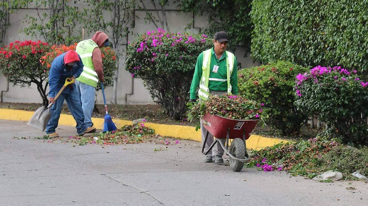 LABORES DE MANTENIMIENTO EN LA CD 2