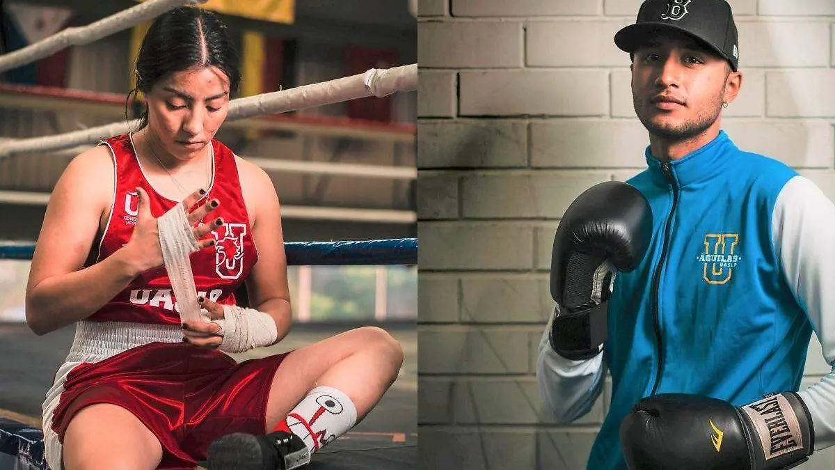 Plantilla - 2023-06-14T170537.355