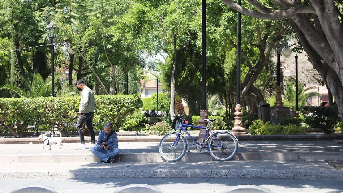 ciclovia ciclistas bicicleta 2