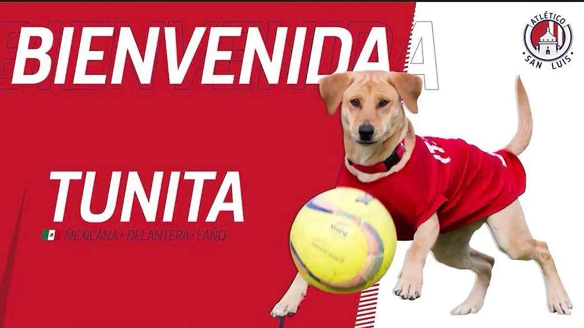 99101579-DE73-4143-95D0-763D3614AA04