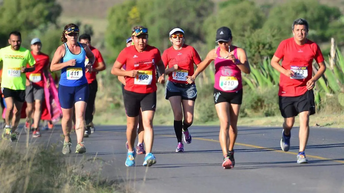 c2ccff9f-d4ea-493f-9856-78d489f69d39