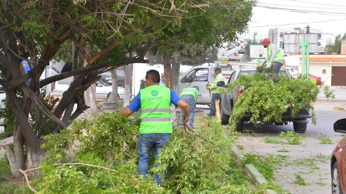 Martes Ciudadano (4)