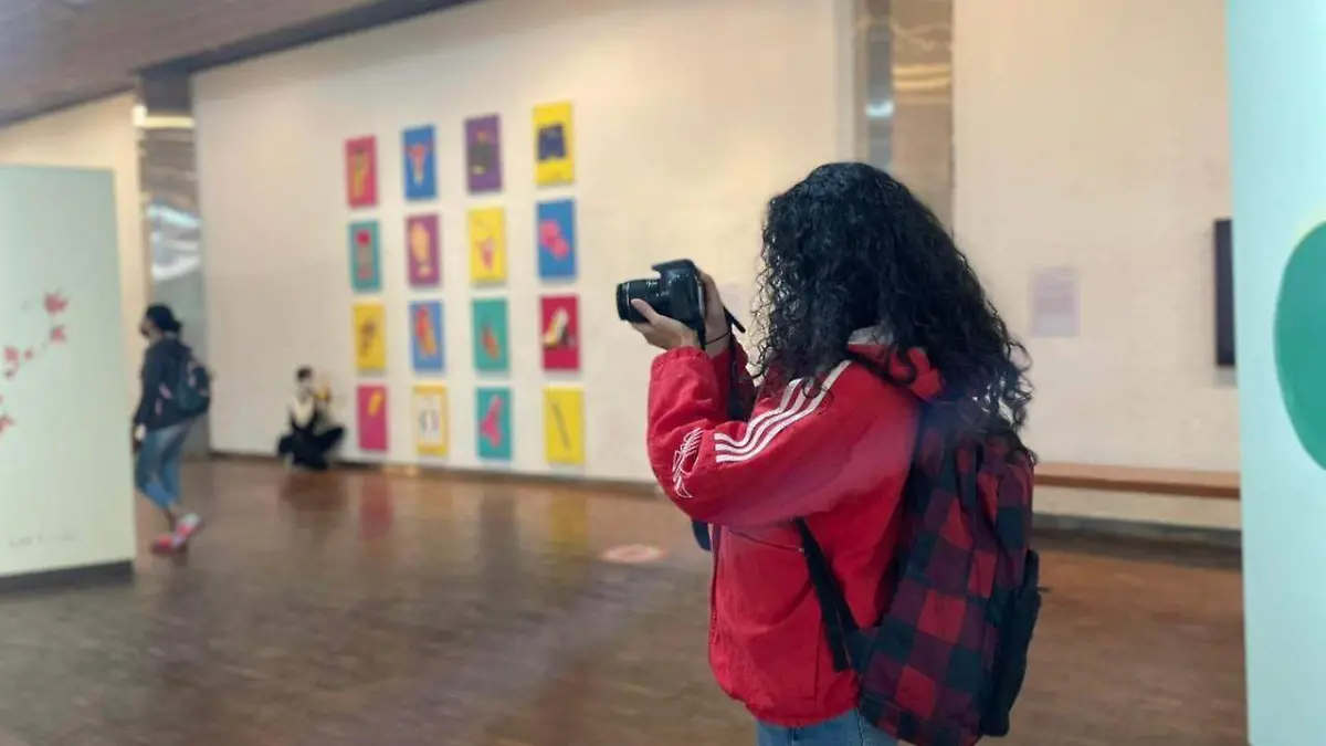 cursos de fotografia