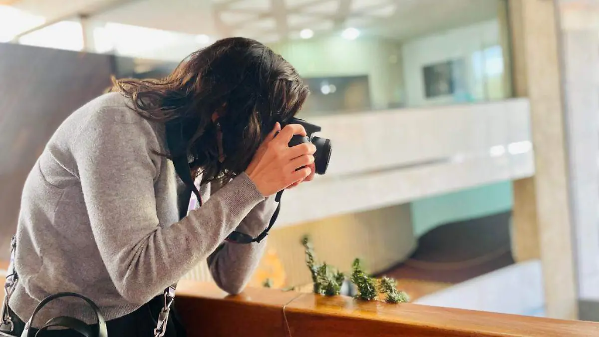 Cursos de fotografía para todos