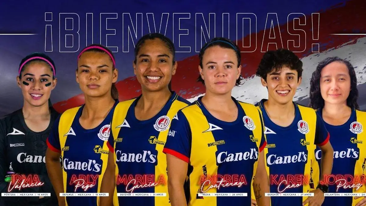 c0b4dc6b-20b6-4fbc-8b4f-978fb45d3368