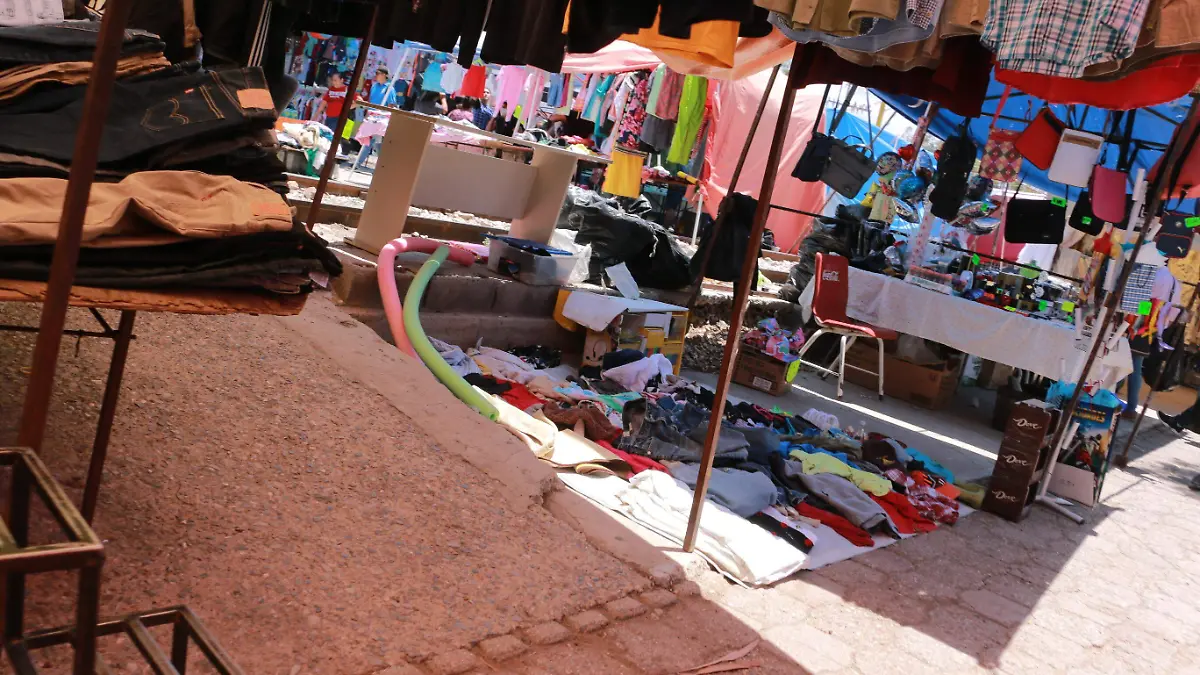 tianguis las vias (12)