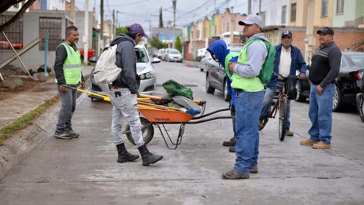Martes verde Soledad (4)