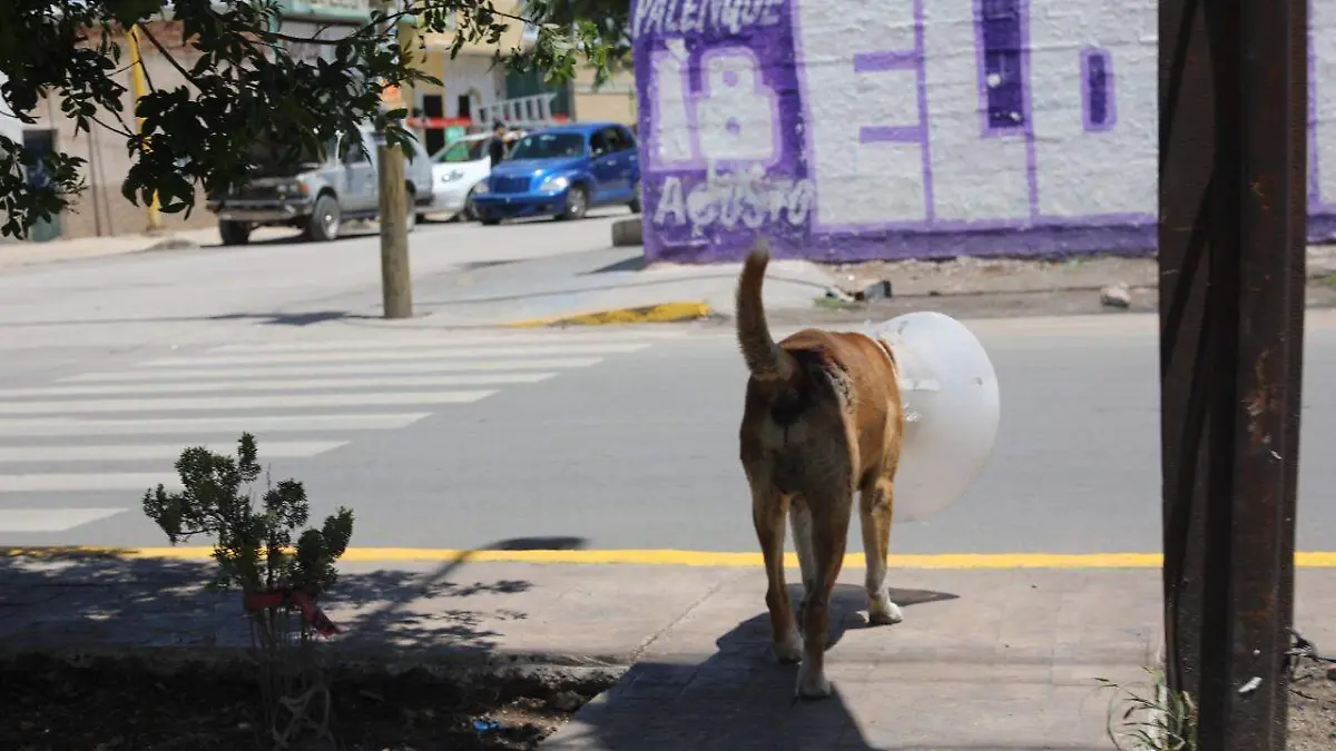 ef122d6a-0030-48c2-afdb-b2abe764ea77