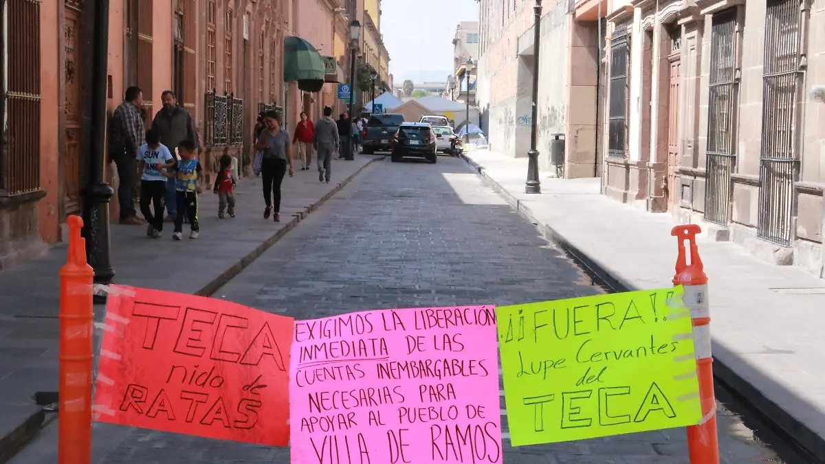 manifestacion TECA (4)