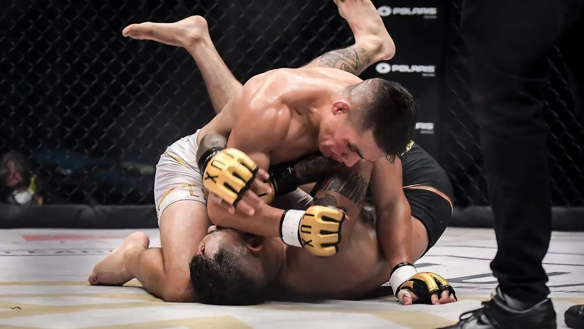 la Fight League