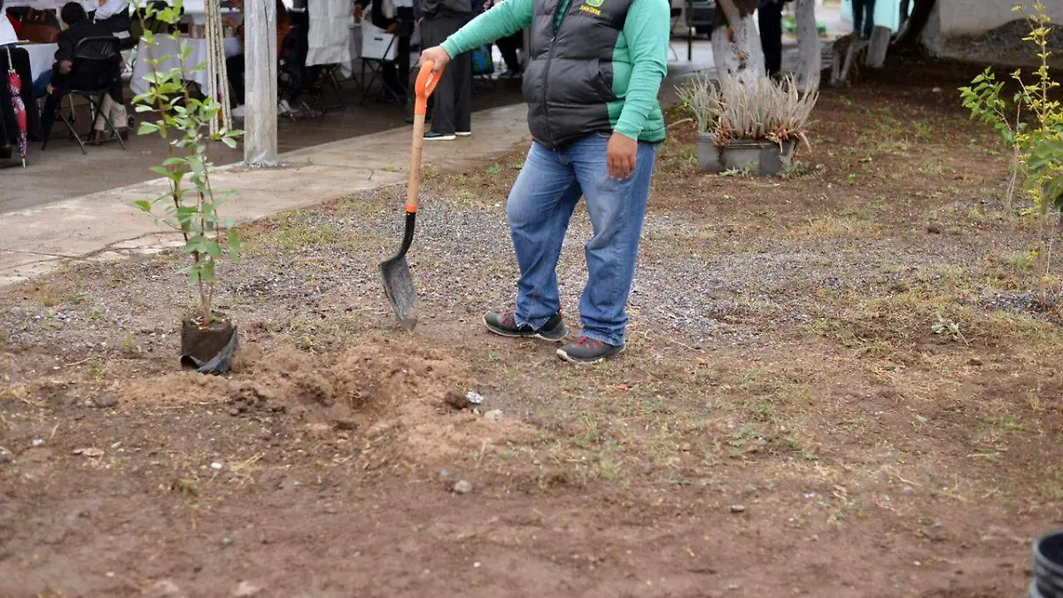 Martes verde Soledad (8)