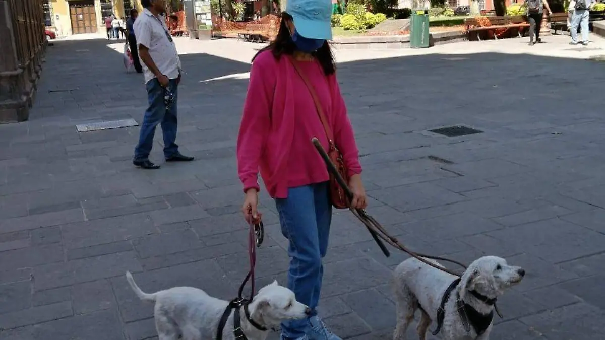 Sus animales de compañía en la bendición