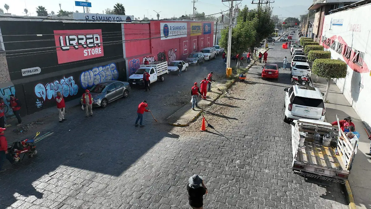 manita de gato en eje vial (4)