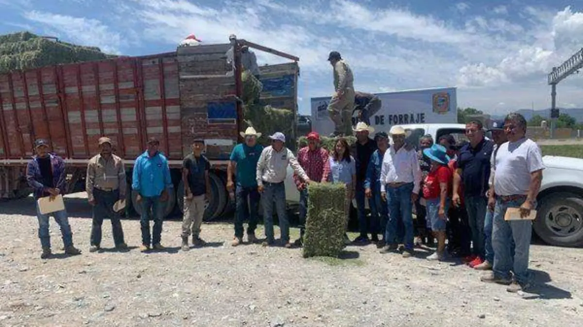 Ganaderos