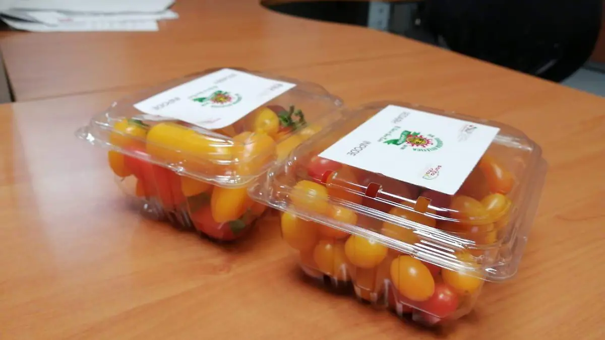 dce4ffd2-601b-4331-a3c9-95b006d9e33f