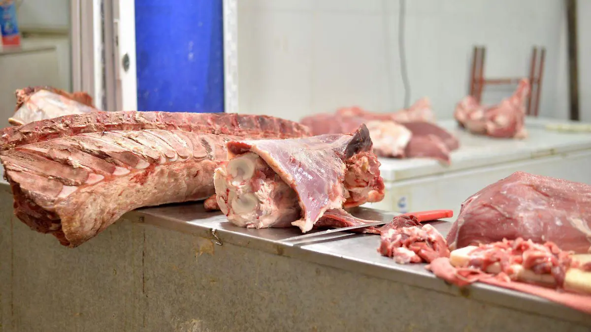 carniceria carne  (4)