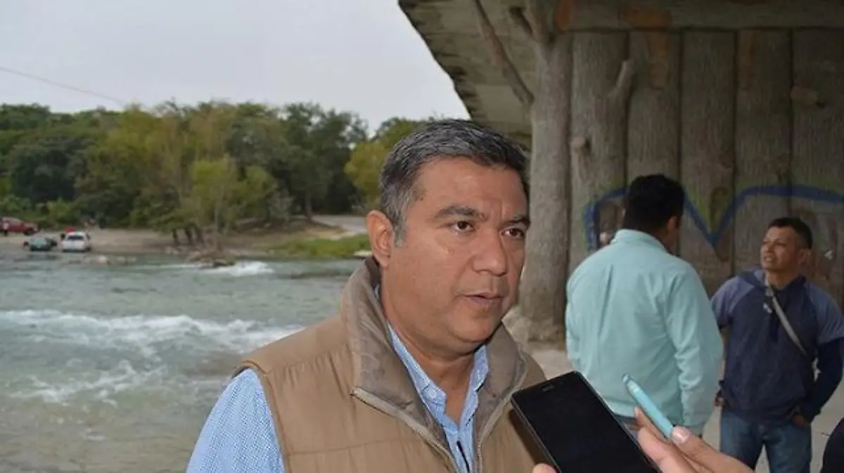 fernando dominguez proyecto verde