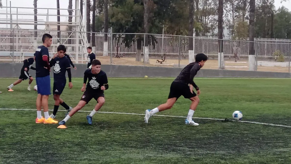 Previa Potosinos FC vs Leones