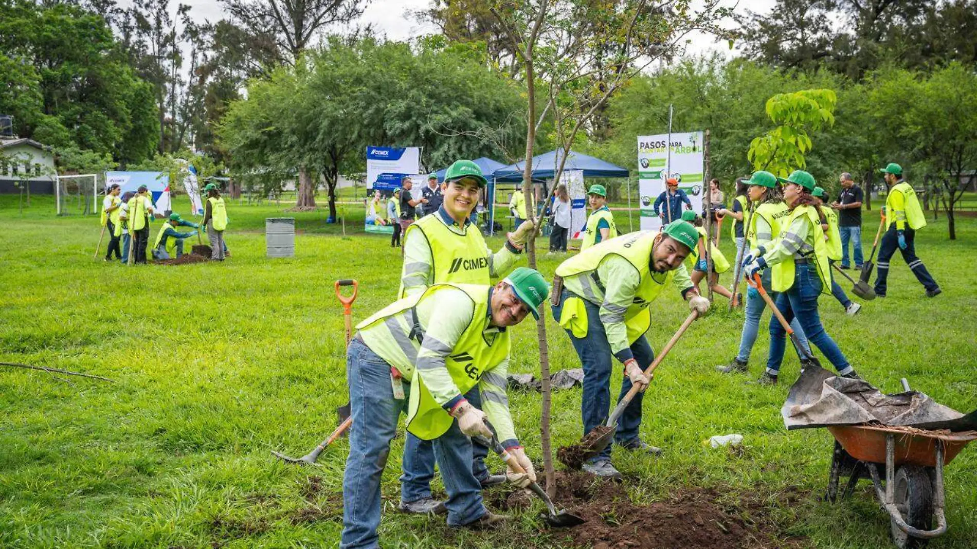  Día Verde 2024 