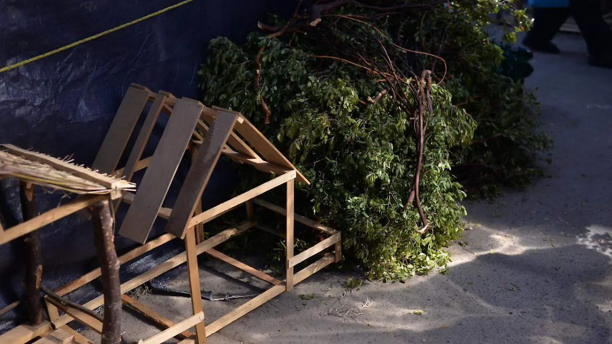 El nacimiento se coloca los primeros días del mes de diciembre, este se sitúa debajo o a un costado del árbol de Navidad  (9)