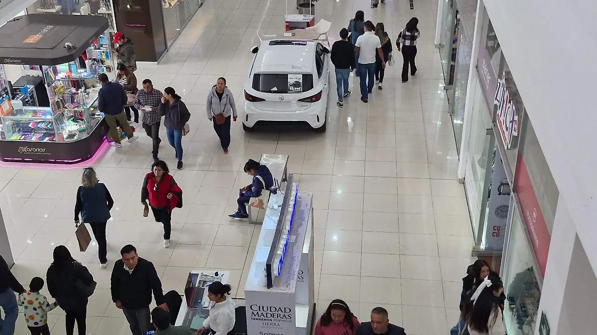 centros comerciales slp