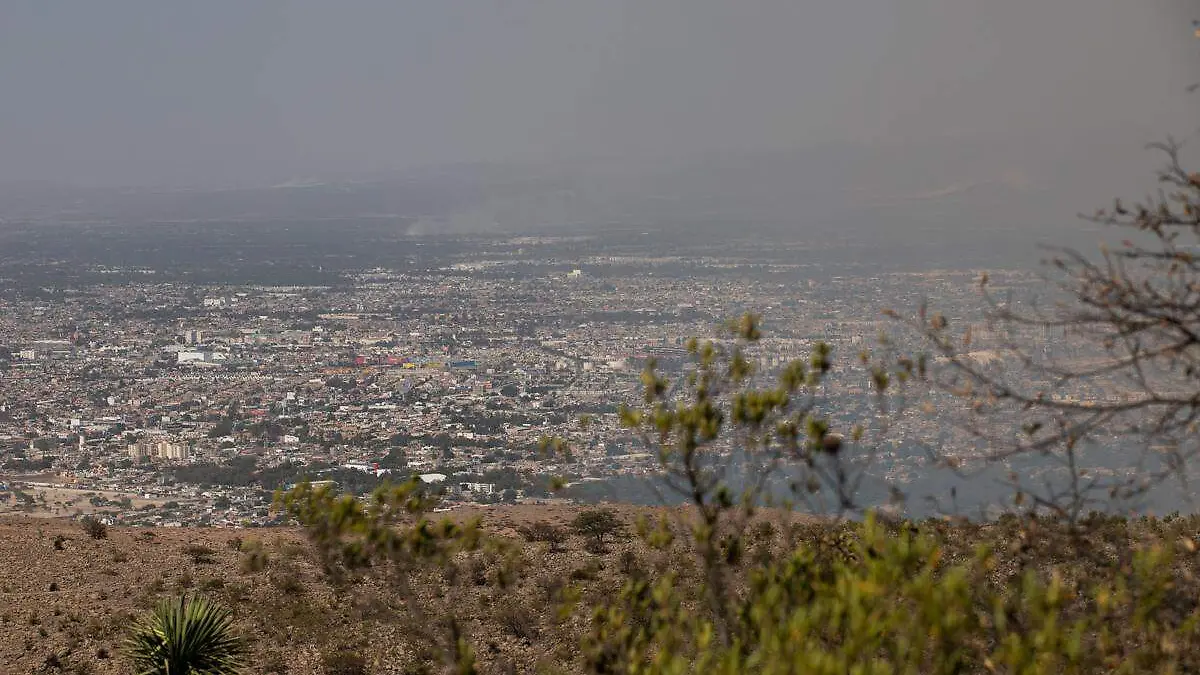 Contaminación