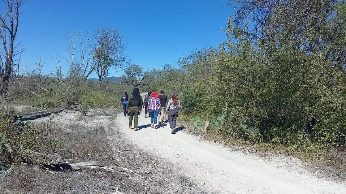 Colectivo Buscadoras de Cerritos